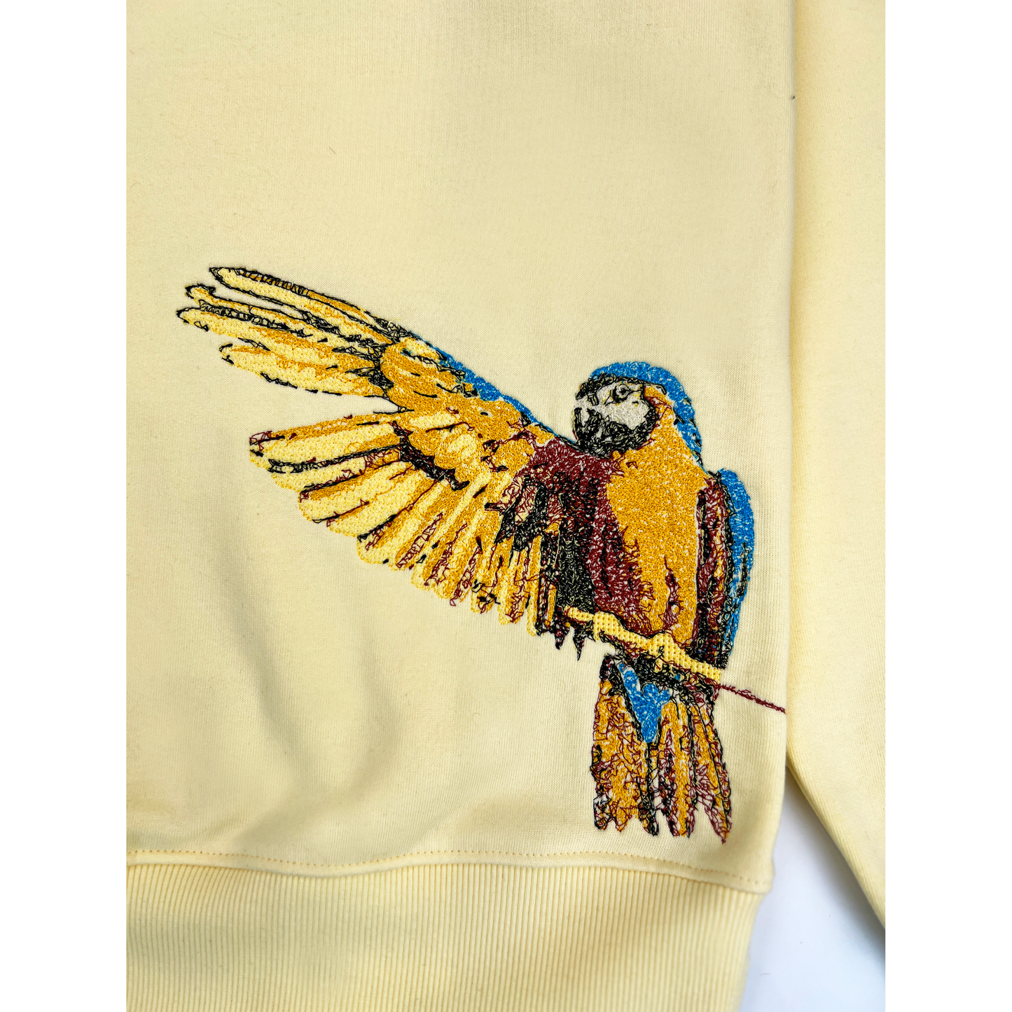 Blue Macaw Embroidered Crew Sweater